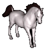 Pony game du 4 au 6 décembre 81455